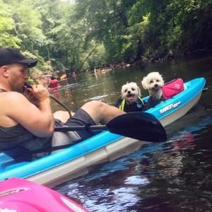 Meet your Posher, Levi